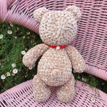 Load image into Gallery viewer, Teddy&#39;s for CHARITY 🧸